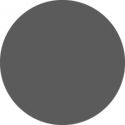 grey-circle-for-person.png