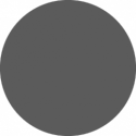 grey-circle-for-person.png